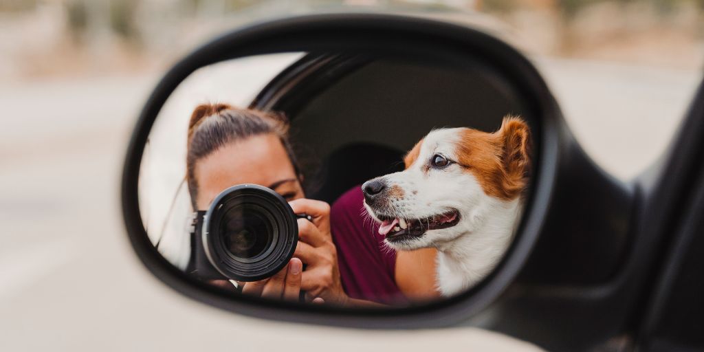 Travelling with a dog in a motorhome